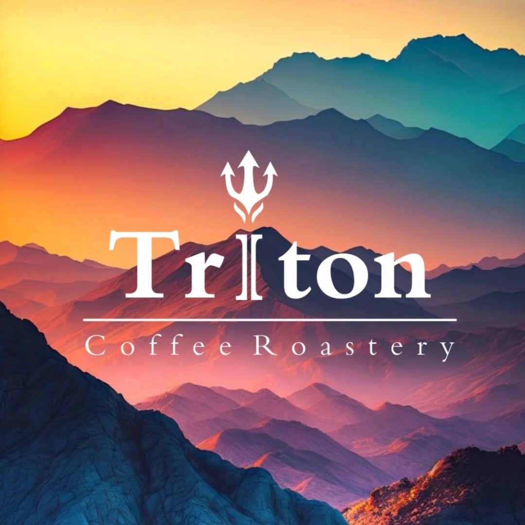 Triton Coffee Roaster